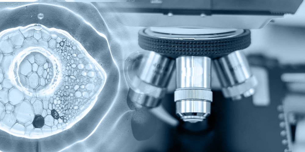 Ocular Microbiology Laboratory